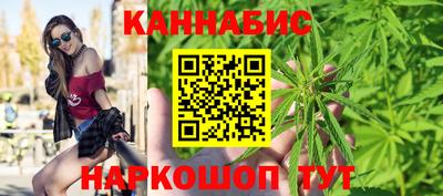 гашик Славянск-на-Кубани